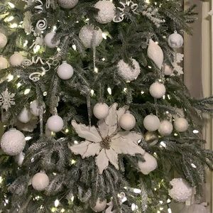 Meet your Posher, Johana j